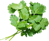 食材采購(gòu)與供應鏈優化(huà)